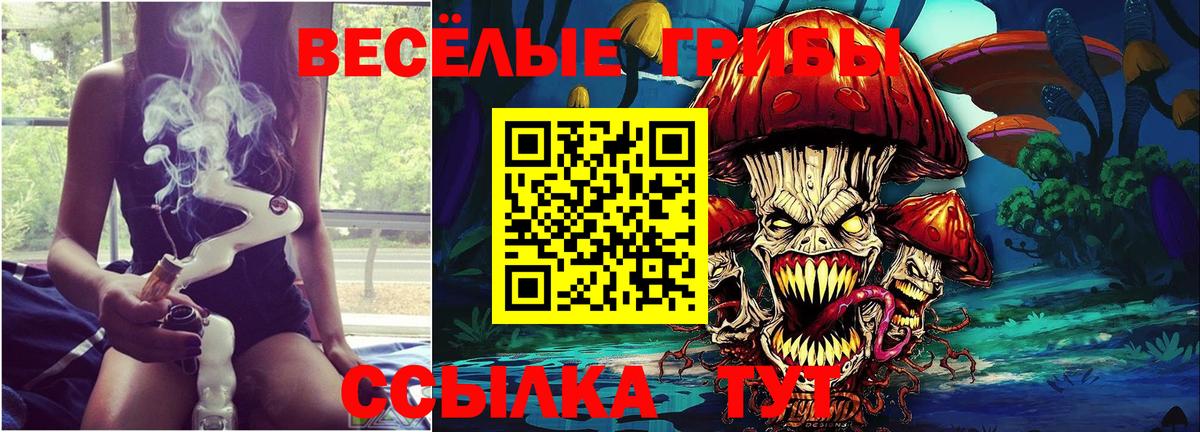 Комсомольск-на-Амуре  Псилоцибиновые грибы Psilocybe  Псилоцибиновые грибы Psilocybine cubensis  Вход с VPN 