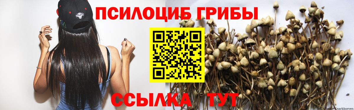 Галлюциногенные грибы прущие грибы Комсомольск-на-Амуре